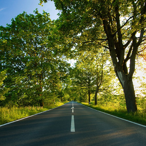 爆乳邻居湿乐园

